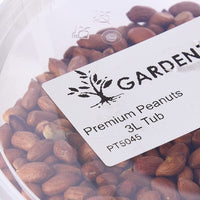 Thumbnail for Premium Peanut Kernels, Wild Bird Food Tub, 3 Litre