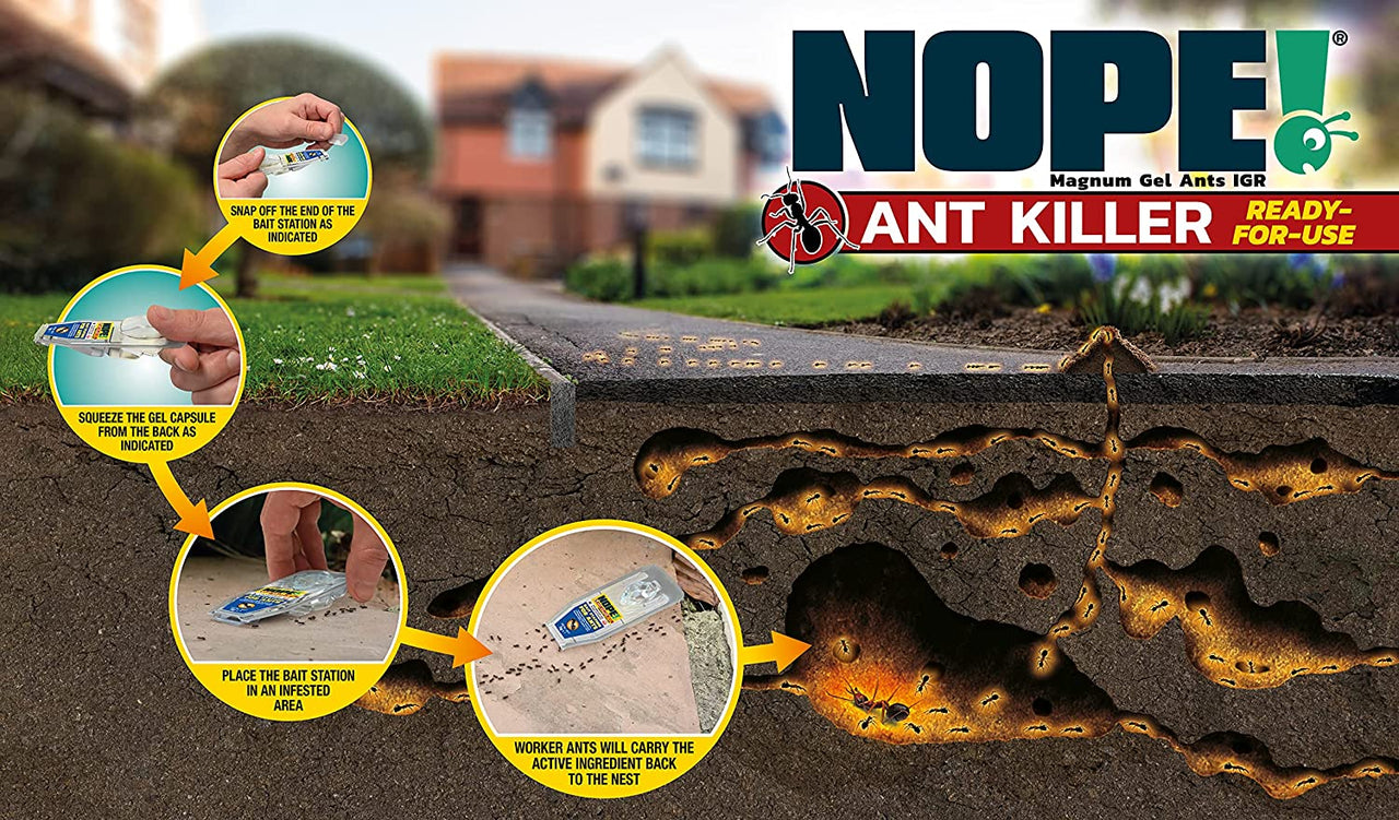 Ant Killer Bait Station (6 X 5G) Indoor & Outdoor. Eradicates Ants and Their Colony & Nest