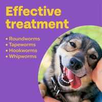 Thumbnail for Clear 3-In-1 Wormer for Dogs (4 Tablets) - for Small, Medium and Large Dogs up to 40Kg, Clinically Proven Treatment