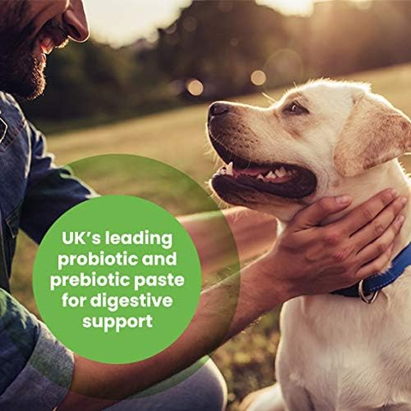 - Pro-Kolin for Dogs and Cats - Probiotic Paste to Support the Gut 30Ml + Syringe