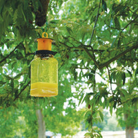 Thumbnail for Fly Max Re-Usable Fly Catcher – Twinpack Effective Fly Trap, Refillable Insect Attractant for Outdoor Use Covers up to 10M Radius, Yellow