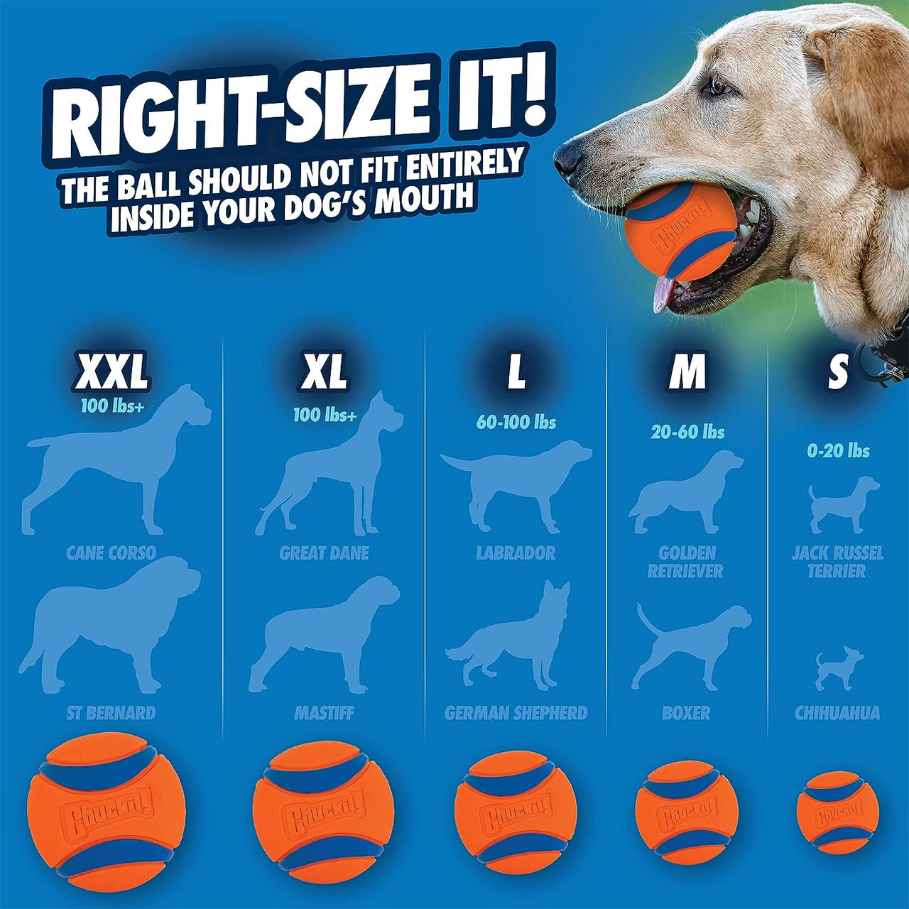 Ultra Ball Dog Toy, Durable High Bounce Floating Rubber Dog Ball, Launcher Compatible Toy for Dogs, Medium (Pack of 2)