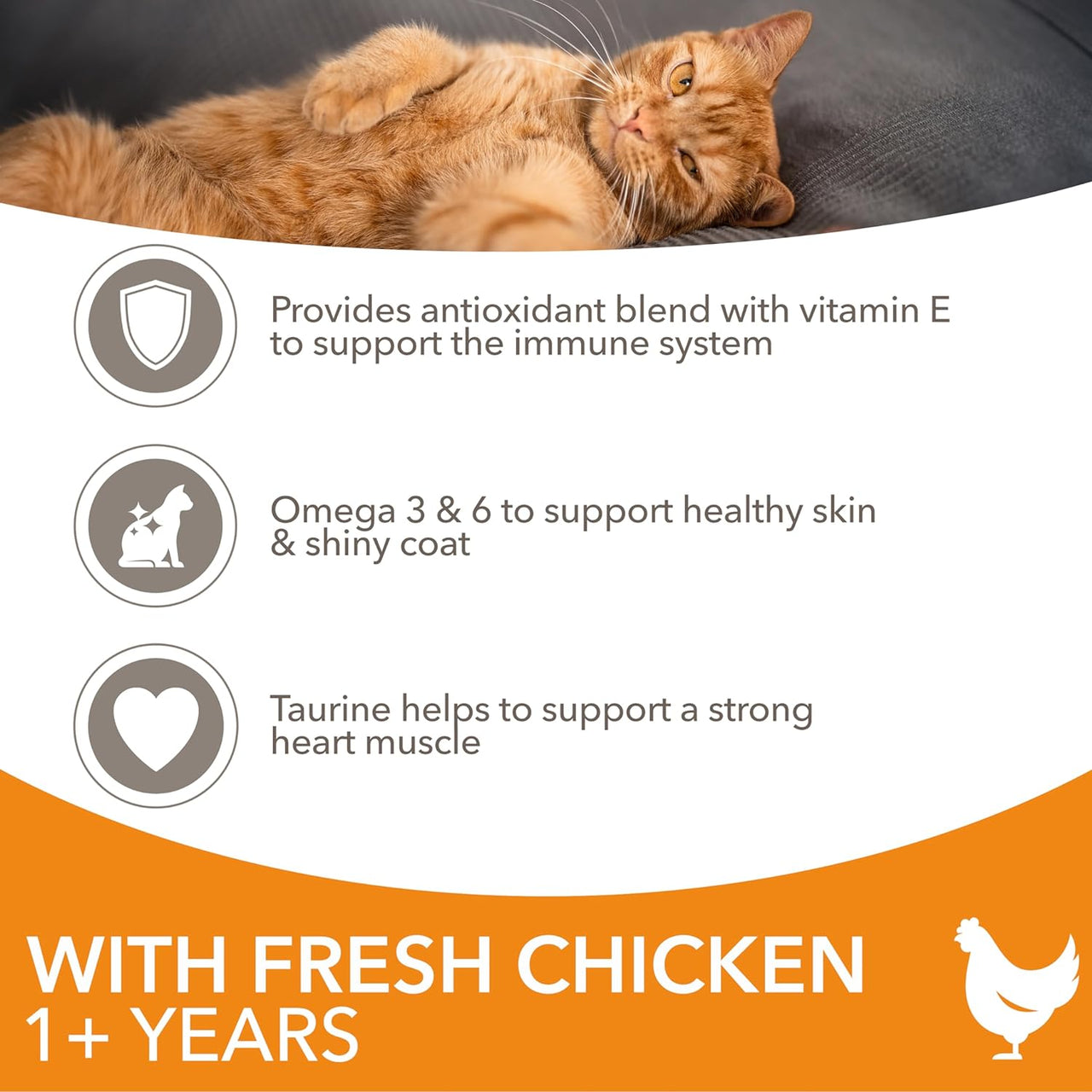 Complete Dry Cat Food for Adult 1+ Cats with Chicken 3 Kg