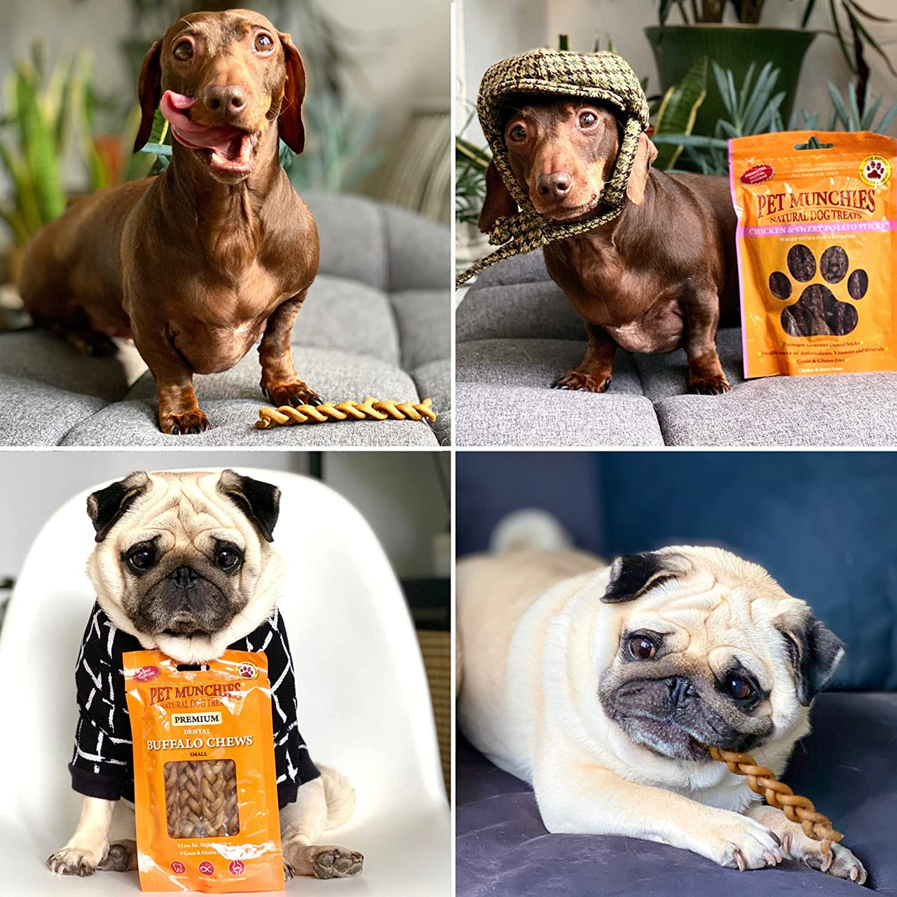 Venison & Beef Liver Dog Training Treats, Grain Free Tasty Bites with Natural Real Meat, Low in Fat 50G