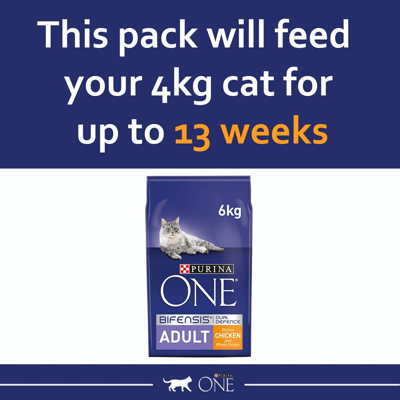 Adult Dry Cat Food Rich in Chicken 6Kg, Packaging May Vary