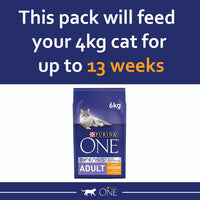 Thumbnail for Adult Dry Cat Food Rich in Chicken 6Kg, Packaging May Vary