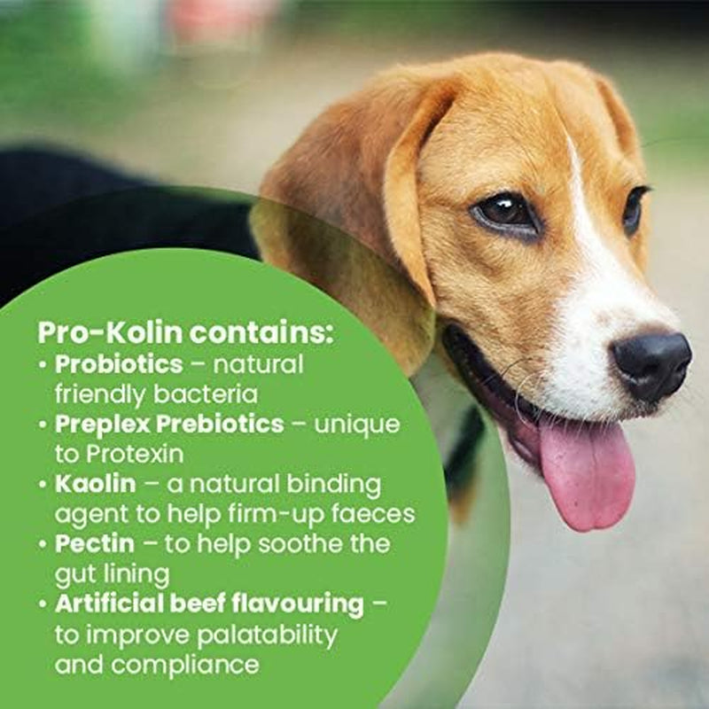 - Pro-Kolin for Dogs and Cats - Probiotic Paste to Support the Gut 30Ml + Syringe