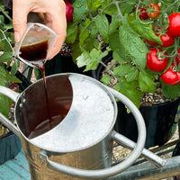 Thumbnail for Tomorite Liquid Tomato Food, Concentrate, 1L, Red