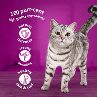 Thumbnail for 1+ Adult Mixed Selection in Jelly 84 Pouches, Adult Wet Cat Food, Megapack (84 X 85 G)