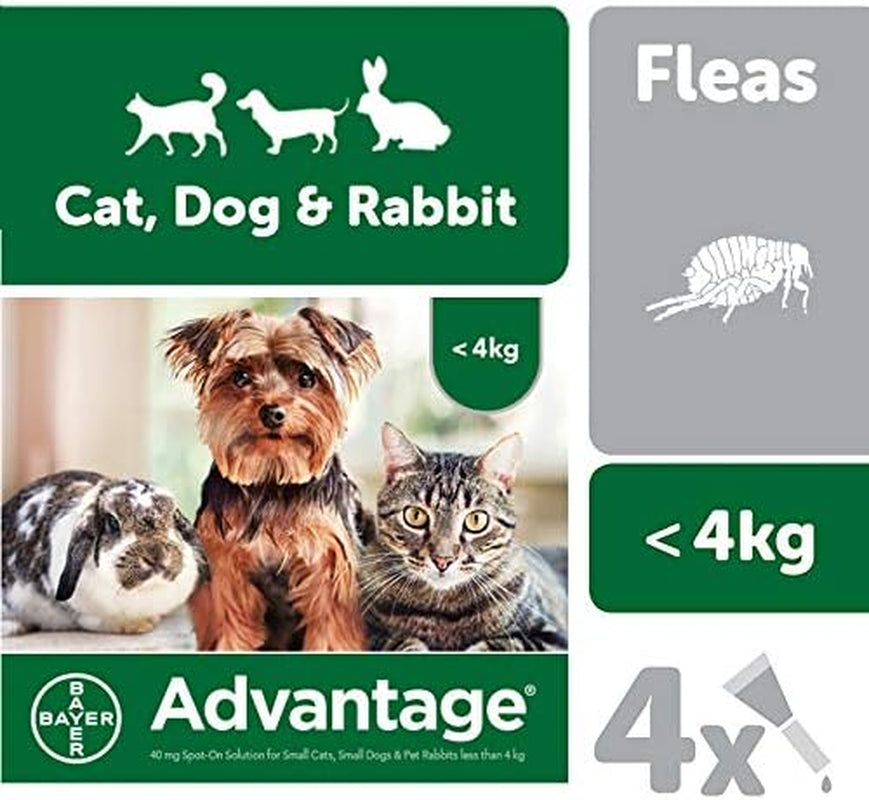 Spot on Flea Treatment 40 Small Cats Dogs and Rabbits, 4 Pipettes