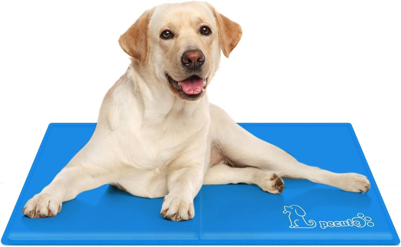 Dog Cooling Mat Medium 65X50Cm, Durable Pet Cool Mat Non-Toxic Gel Self Cooling Pad, Great for Dogs Cats in Hot Summer