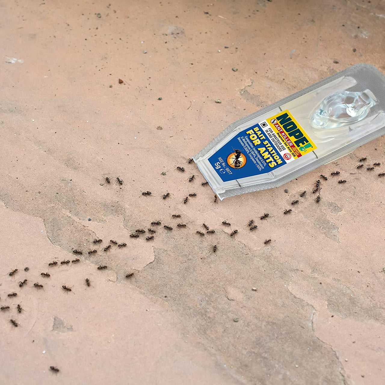 Ant Killer Bait Station (6 X 5G) Indoor & Outdoor. Eradicates Ants and Their Colony & Nest