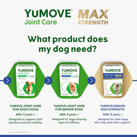 Thumbnail for Senior MAX Strength | Maximum Strength Joint Supplement for Older, Stiff Dogs with Glucosamine, Chondroitin, Green Lipped Mussel | Aged 9+ | 120 Tablets