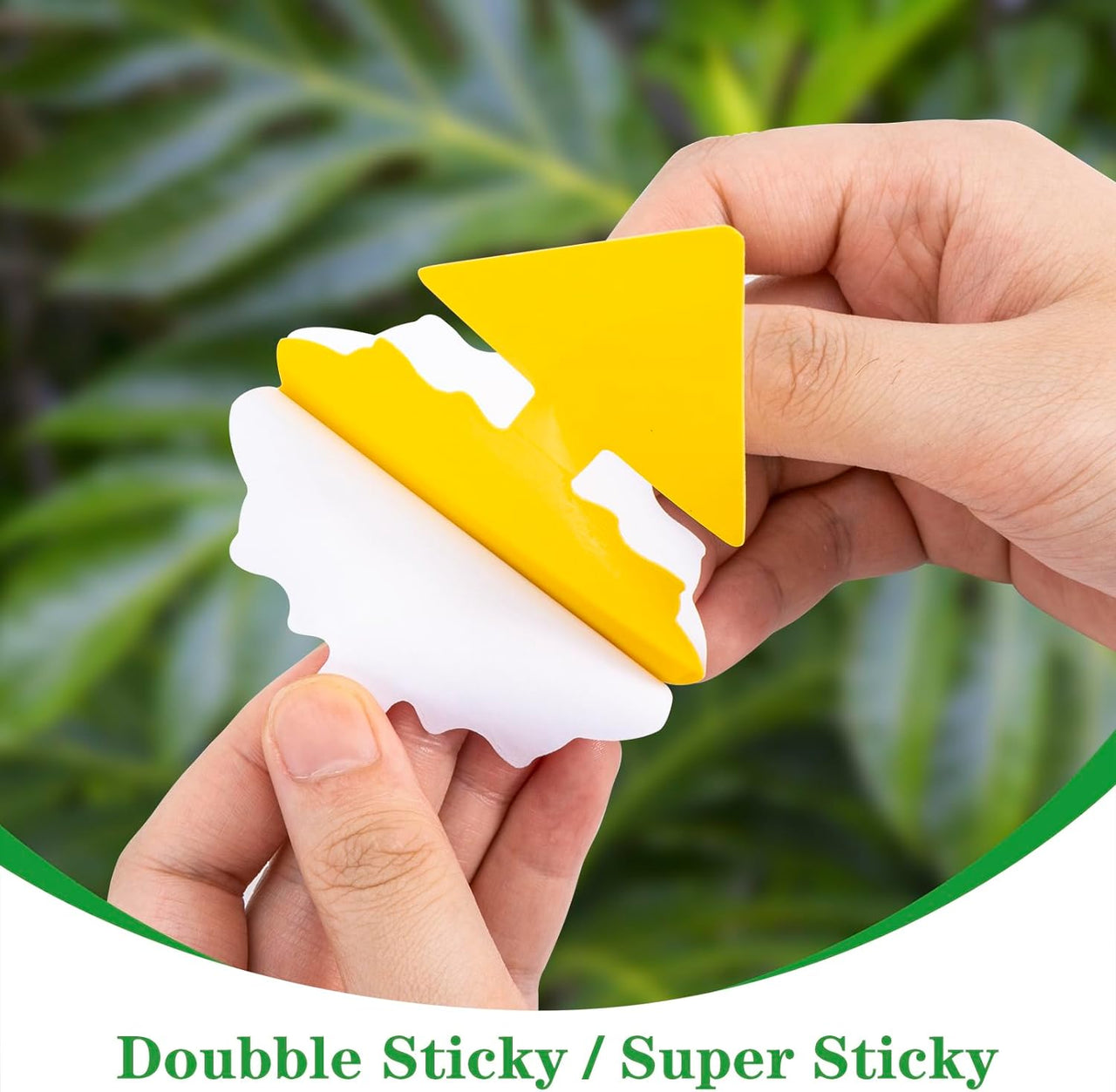 Fruit Fly Traps, Pack 30 Yellow Double-Sided Fungus Gnat Sticky Catcher for Plants Indoor and Outdoor Insects Fly Control - Non-Toxic, Waterproof