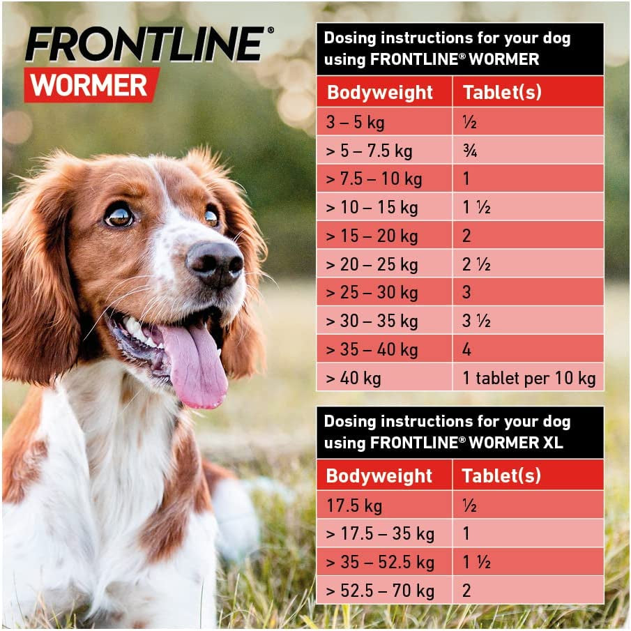 WORMER - Worming Tablets for Dogs - 2 Tablets