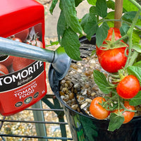 Thumbnail for Tomorite Liquid Tomato Food, Concentrate, 1L, Red