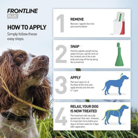 Thumbnail for plus Flea & Tick Treatment for Medium Dogs (10-20 Kg) - 3 Pipettes